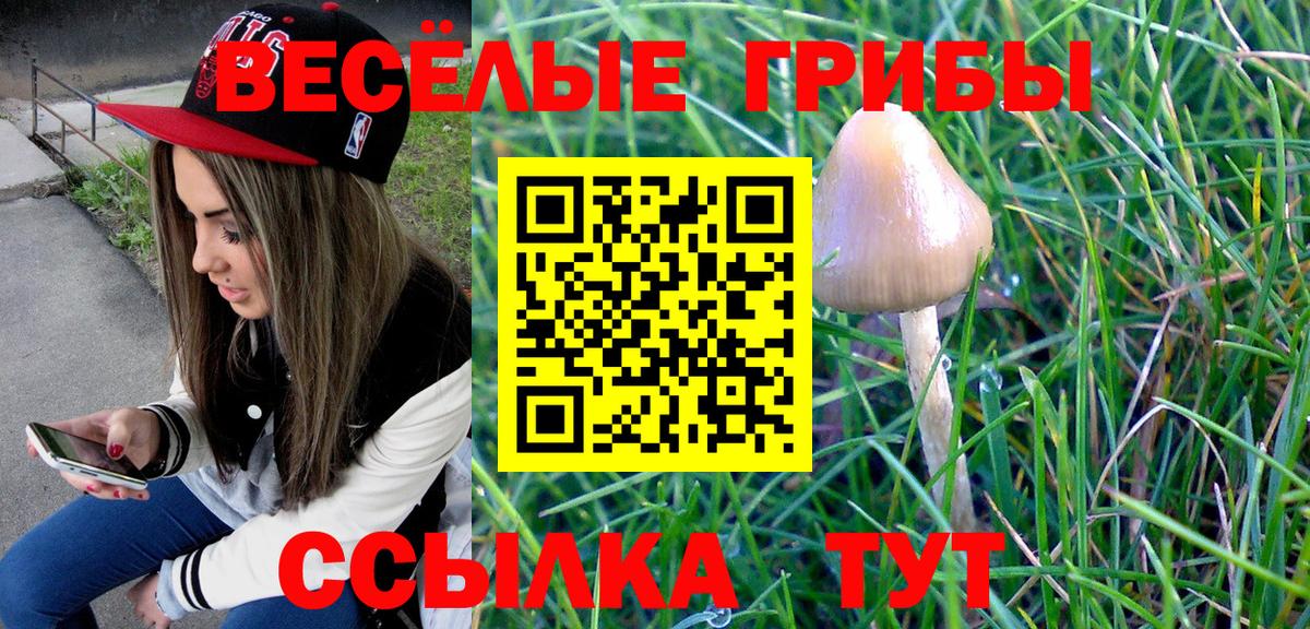 Туймазы  Галлюциногенные грибы Magic Shrooms  Вход с VPN 